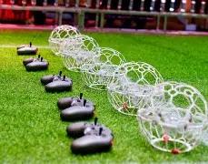 勒布朗,与浓眉并肩,荣光无限,宝威体育平台,宝威体育官方网站,宝威体育登录入口,宝威体育app下载