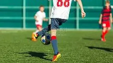 宝威体育 产品 135913 tnk